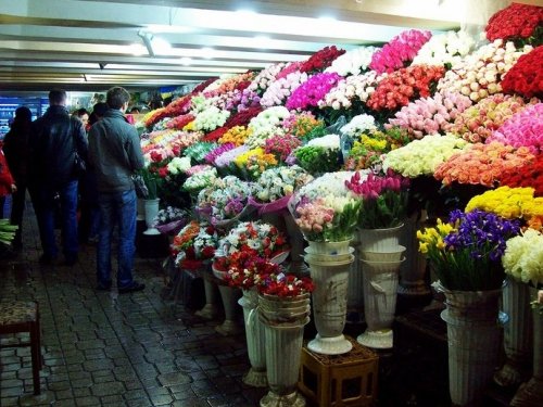 ̳��� ������ ������